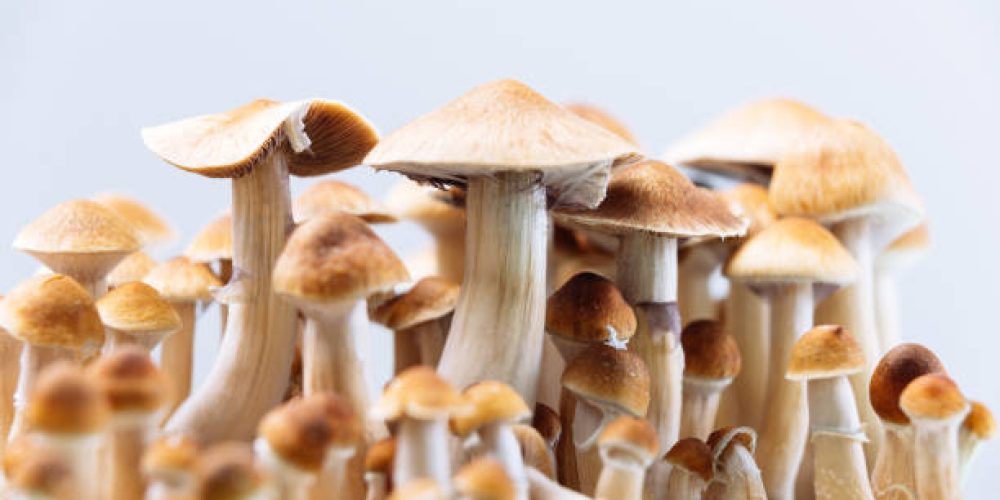 Speculate Nice and thoroughly clean new fresh mushrooms: An Attractive Selection for Despression signs or symptoms?